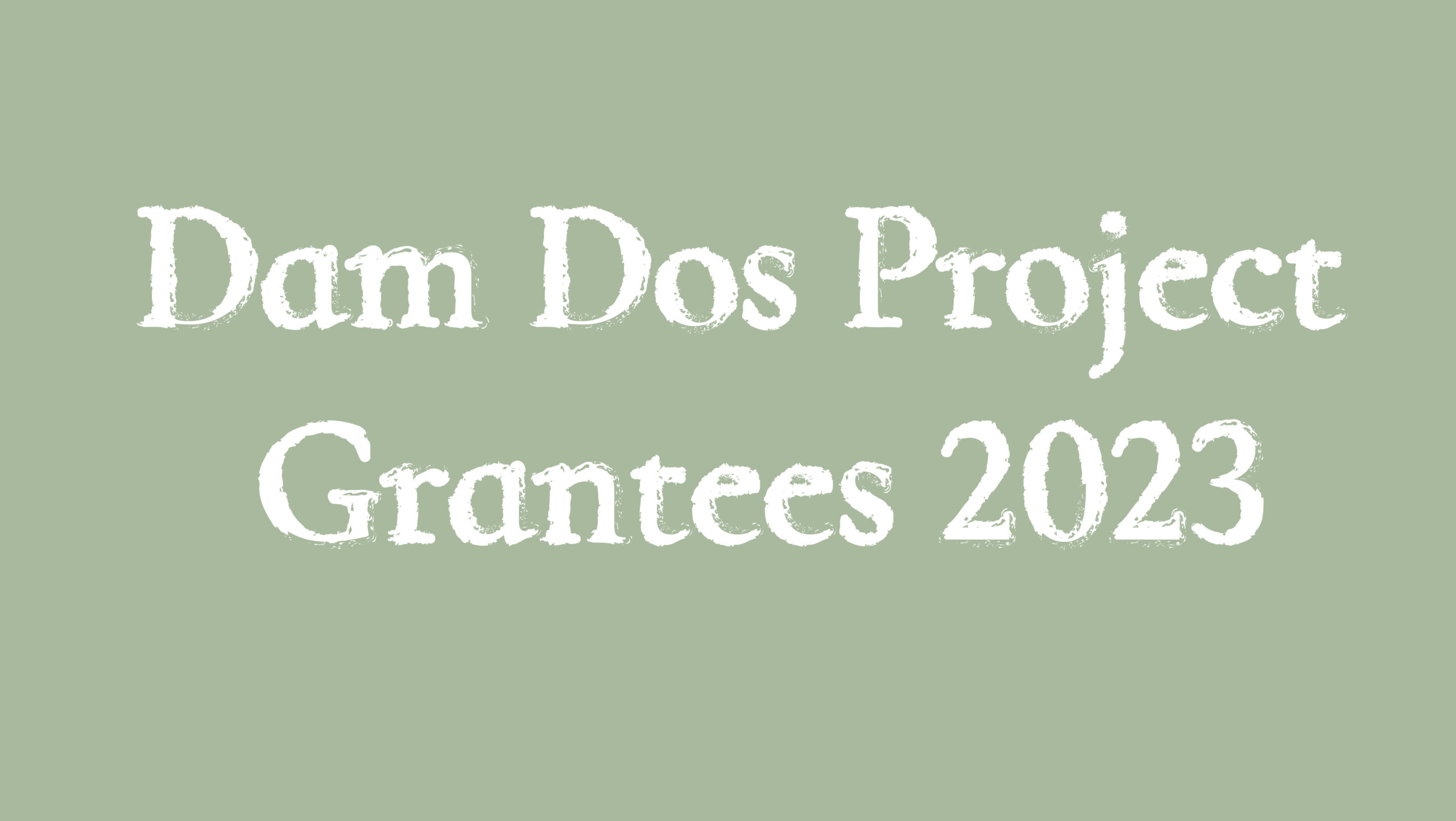 Dam Dos Project Grantees 2023