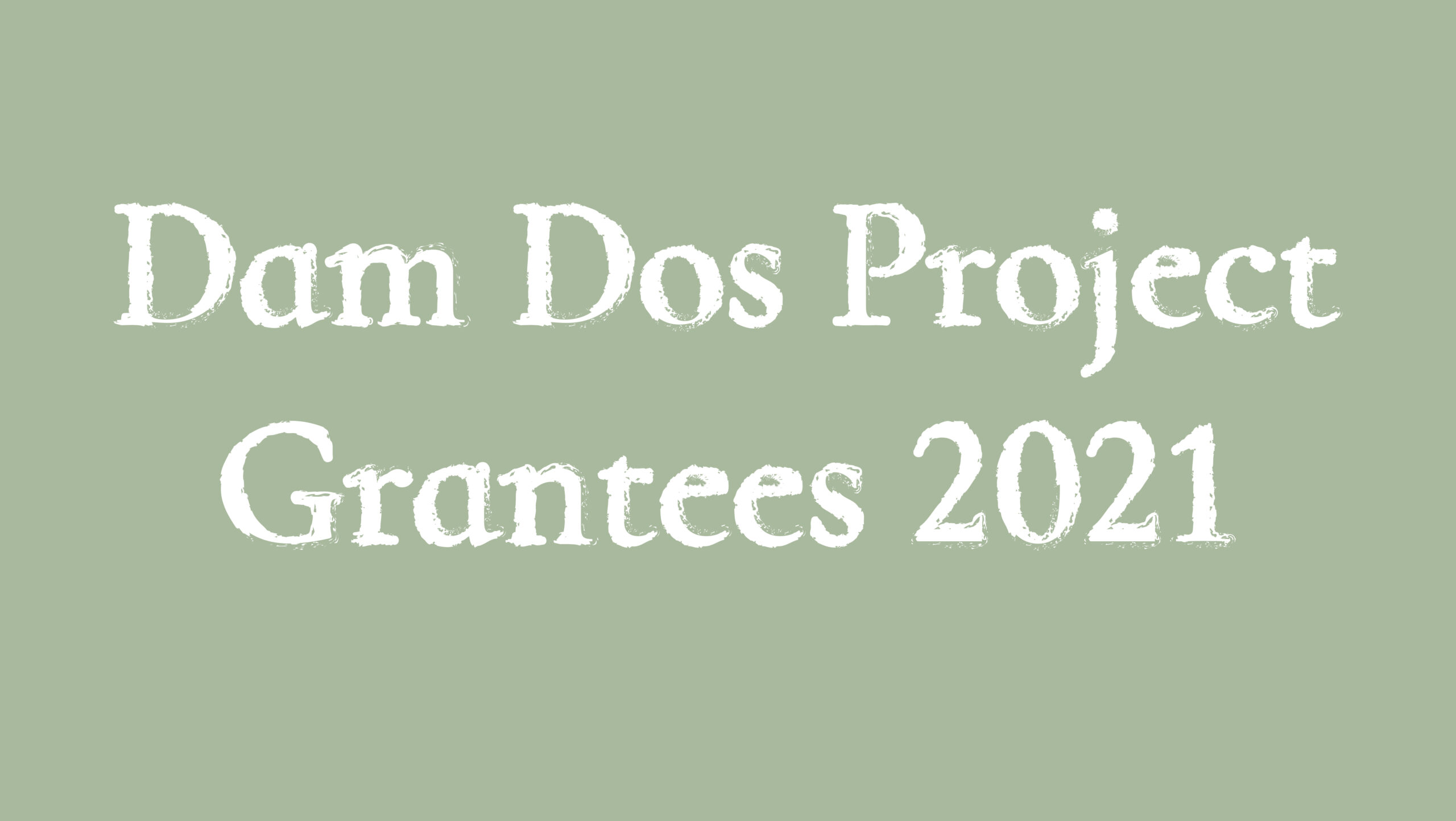 Dam Dos Project Grantees 2021