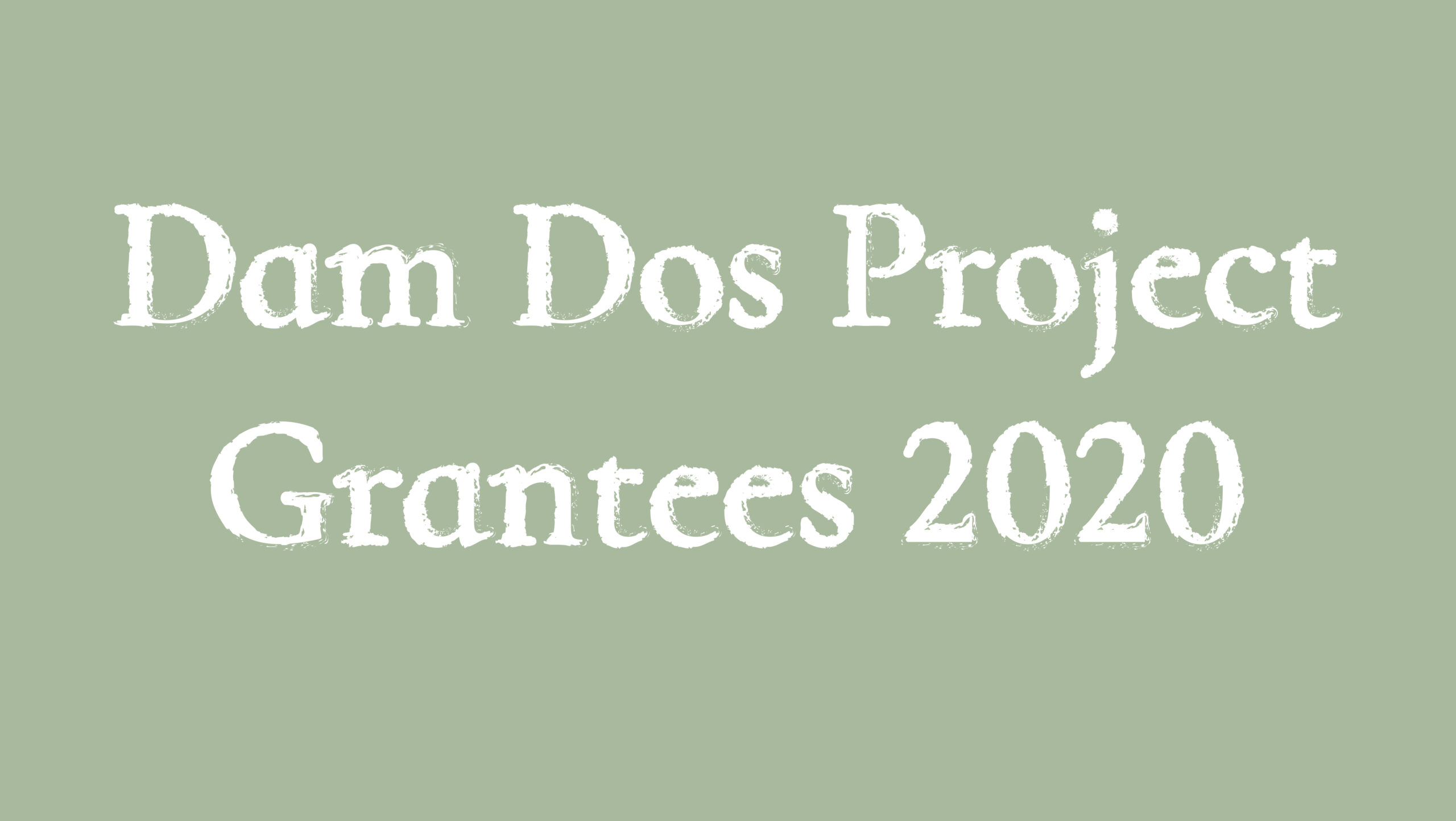 Dam Dos Project Grantees 2020