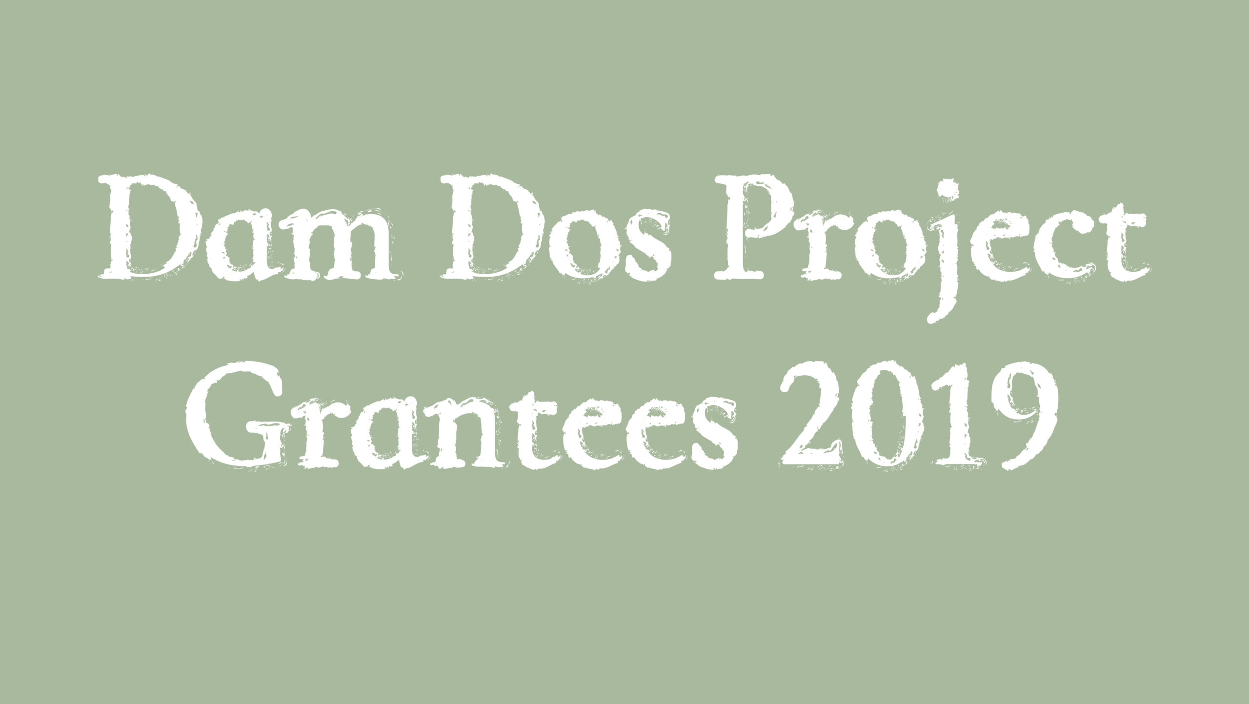 Dam Dos Project Grantees 2019