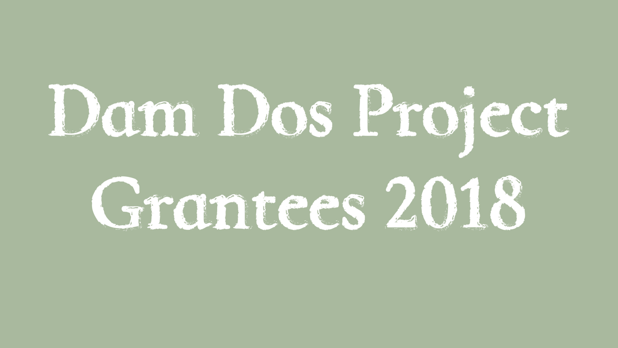 Dam Dos Project Grantees 2018